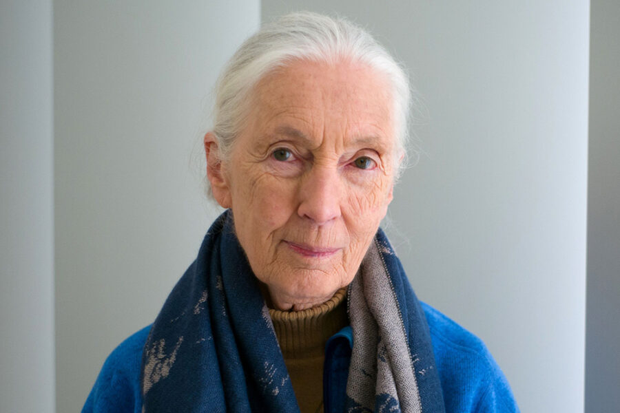Jane-Goodall (ANTHONY WALLACE/AFP via Getty Images)